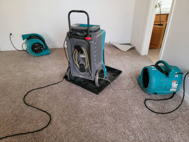 Best Water damage restoration near me  in Twin Lakes, CA
