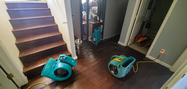  Twin Lakes, CA Water damage restoration Pros