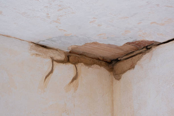 Best Water damage restoration near me  in Twin Lakes, CA