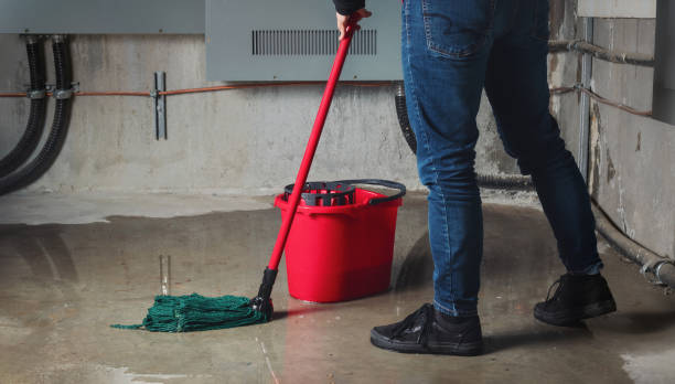 Best Sewage cleanup and water damage restoration  in Twin Lakes, CA