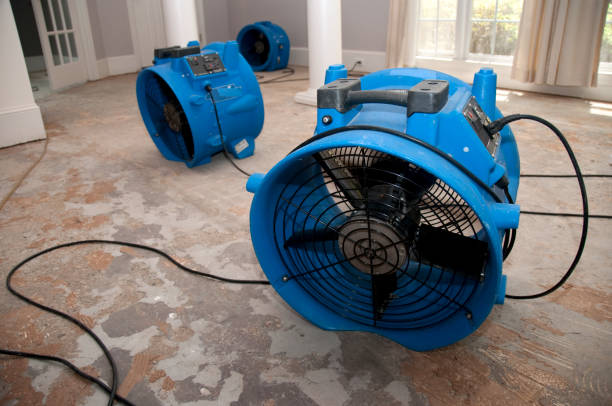 Best Emergency water damage restoration  in Twin Lakes, CA