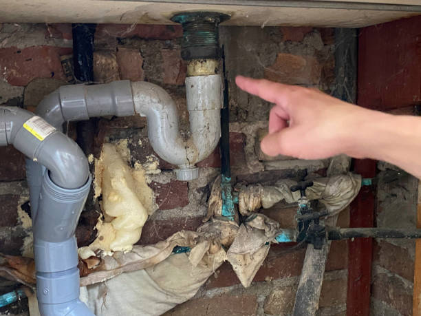 Best Ceiling water damage repair  in Twin Lakes, CA