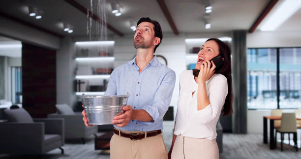 Best Mold removal after water damage  in Twin Lakes, CA