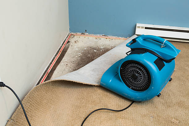Best Water damage contractors near me  in Twin Lakes, CA
